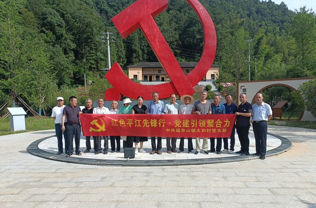 福寿山镇各党支部开展迎“七一”系列活动