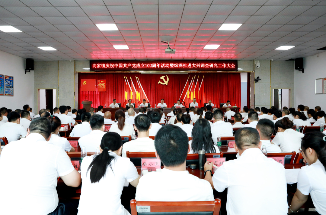 向家镇召开庆祝中国共产党成立102周年活动暨纵深推进大兴调查研究工作大会