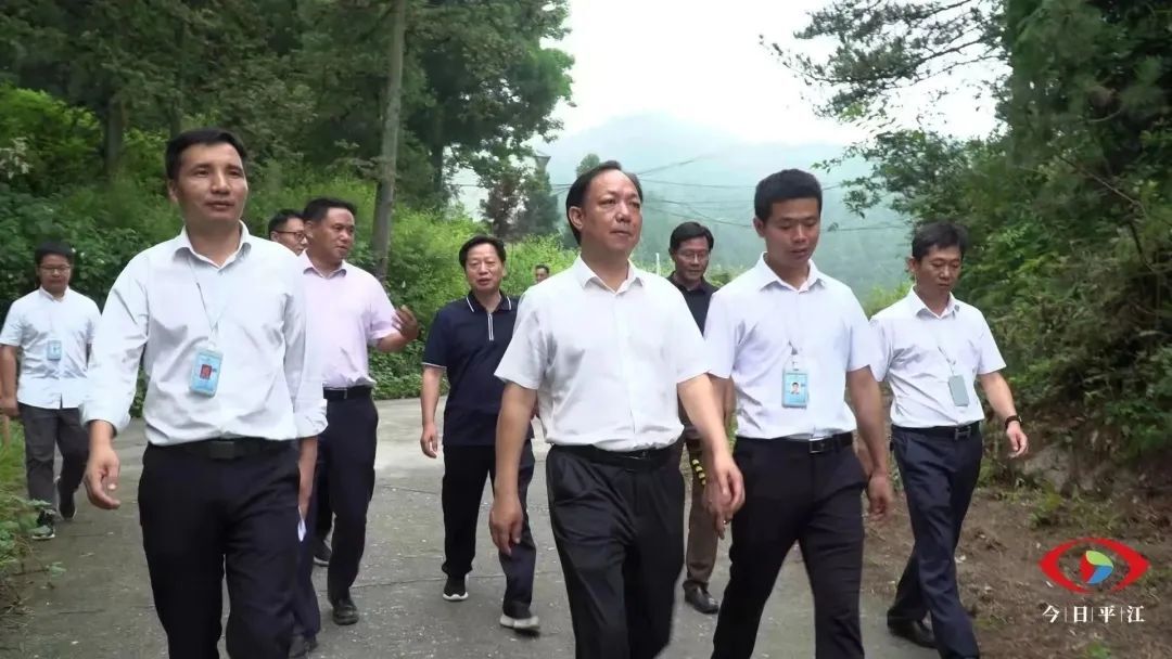 刘启峰率队开展巡林并调研幕阜山文旅项目建设工作