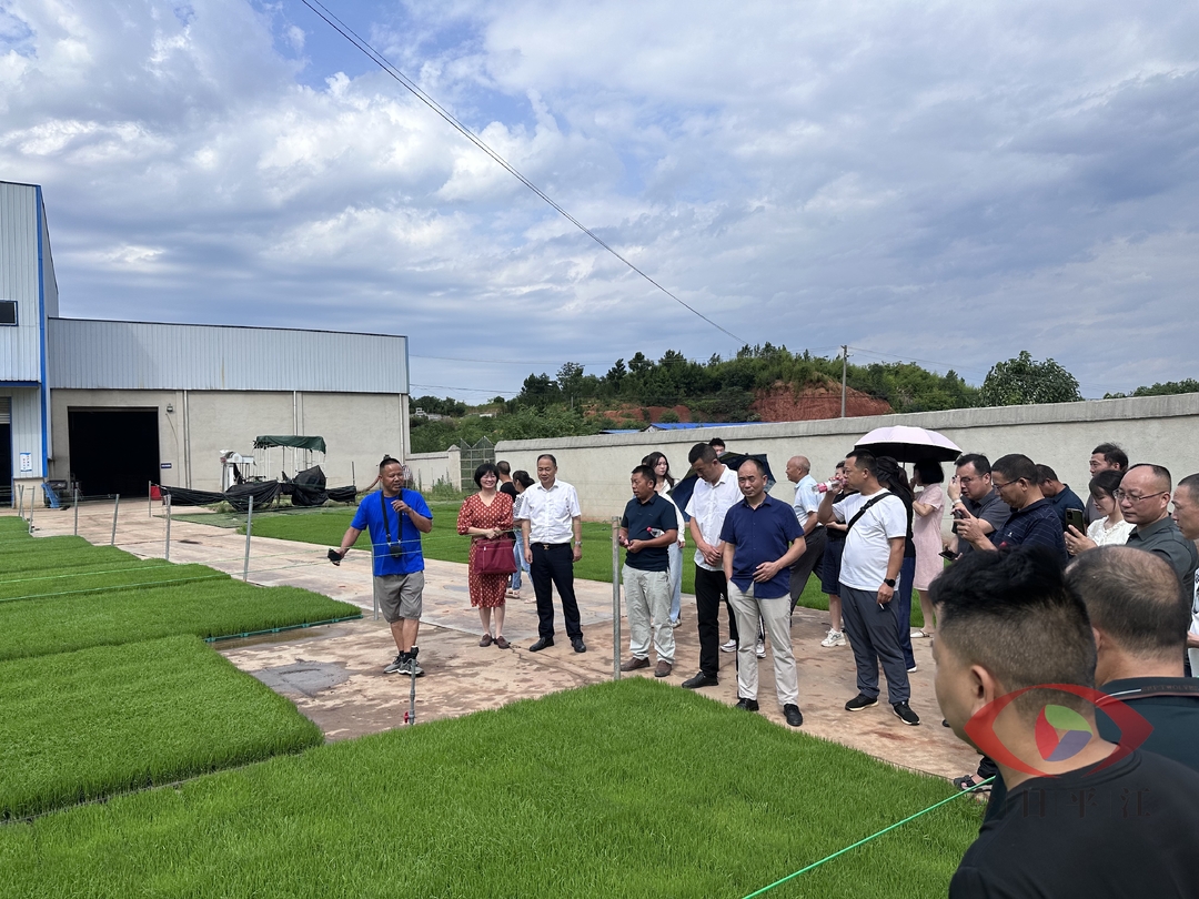平江县开展水稻生态种植及单产效益提升行动调研观摩活动