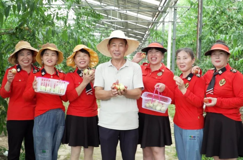 “桃”不了的诱惑！武岗村的枣蜜桃熟啦！