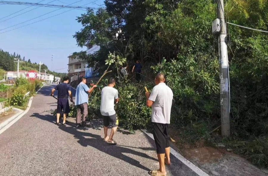 梅仙镇新霞村：换新颜，保通畅，道路整洁齐上阵