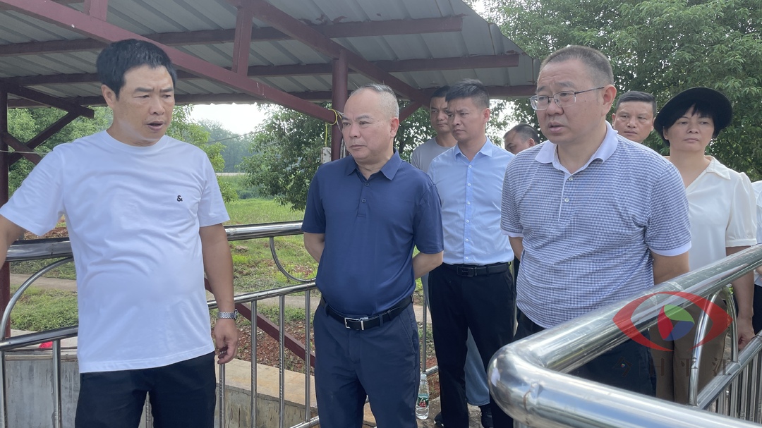 密切联动监督 共护碧水清波