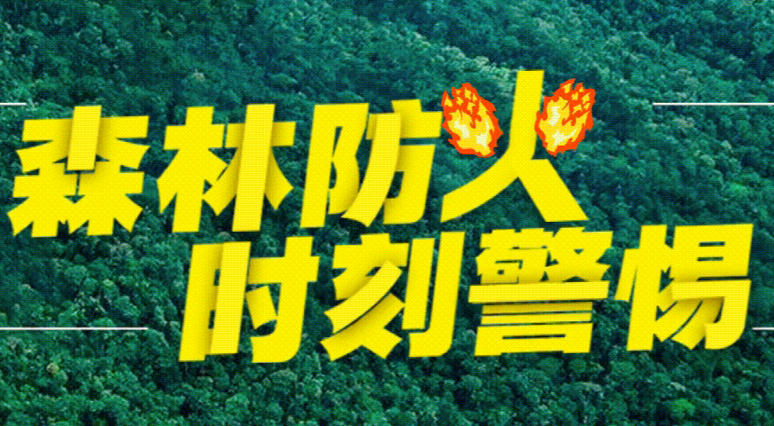 致全镇父老乡亲做好森林防火工作的公开信