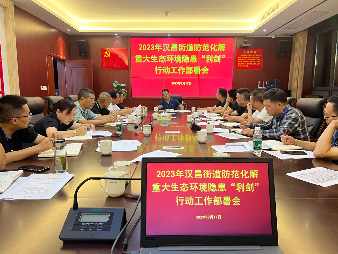 全覆盖，零容忍——汉昌街道强力推进生态环保“利剑”行动