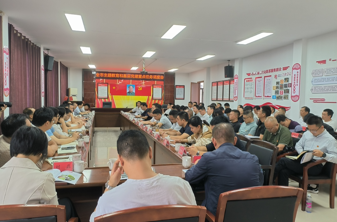 岳阳市基层党建重点任务调度会、平江县发展壮大村集体经济观摩拉练活动在我县举行