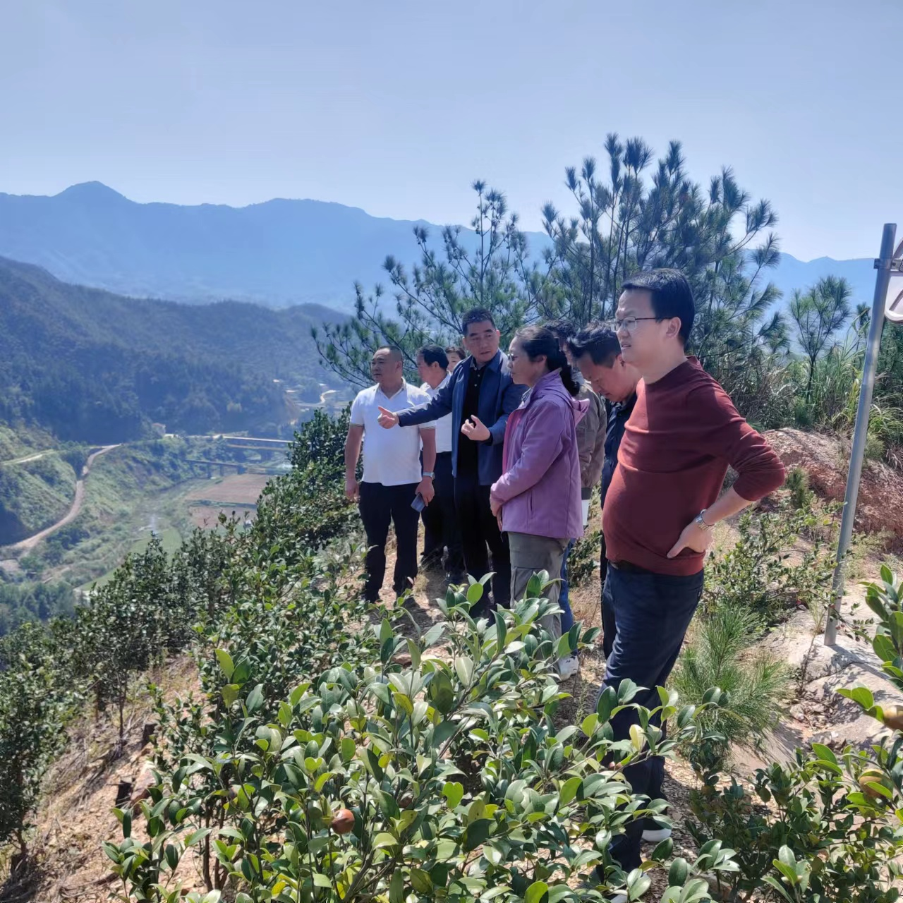 邀请专家送“技”下乡，擦亮“油海”三墩新名片