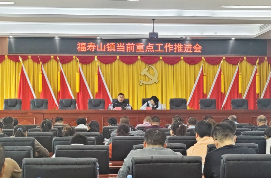 锚定目标 全力冲刺｜福寿山镇召开当前重点工作推进会