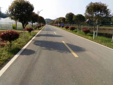 平江今年创建“美丽农村路”178公里