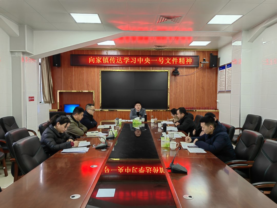 向家镇：以中央一号文件为指引，奏响春耕生产奋进曲