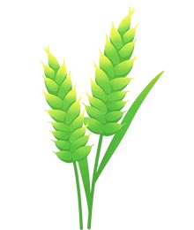 不误农时不负春光！南江镇春耕生产正当时