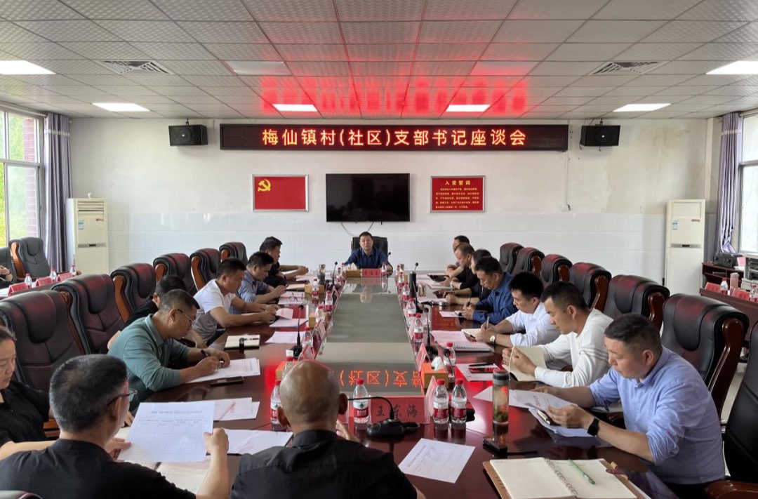 梅仙镇“四创四争”党建主题活动工作简报（五）---座谈交流鼓干劲  同心聚力绘新篇