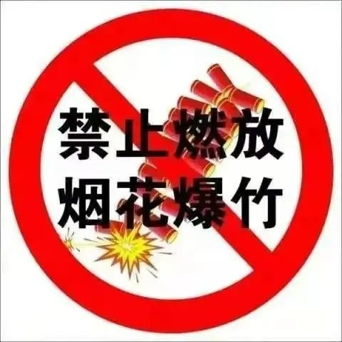 罚款2.2万元！三墩乡禁鞭禁炮持续发力