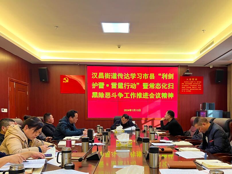 汉昌街道：全面推进“利剑护蕾·雷霆行动”
