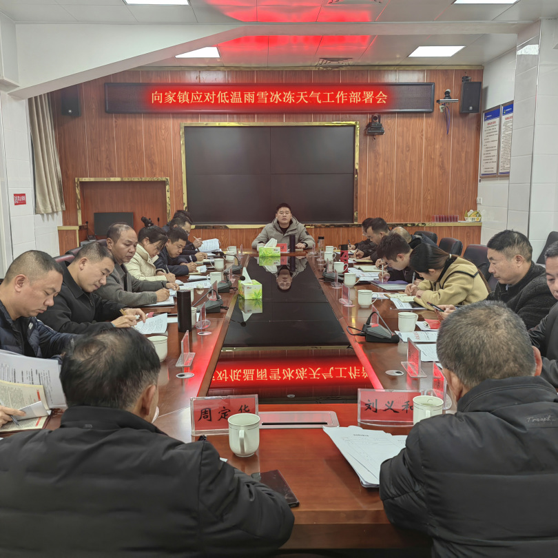 “以雪为令，迎寒而上” ——向家镇“四个强化”做好低温冰冻雨雪天气应对工作