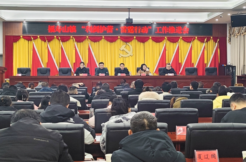 福寿山镇：召开“利剑护蕾·雷霆行动”工作推进会