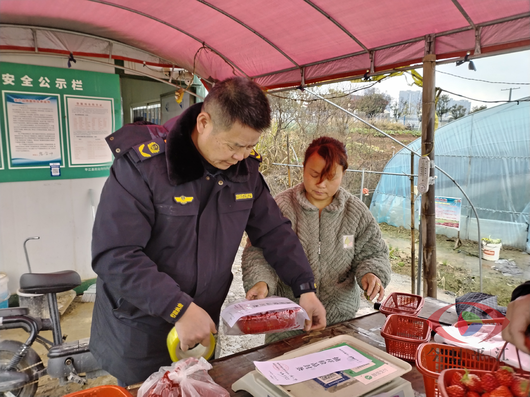 平江县：开展草莓专项抽样检测 保障群众春节“舌尖上的安全”