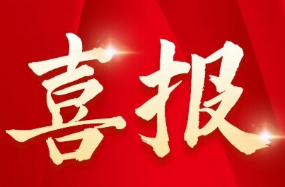 奋楫笃行 满载荣光---加义镇2023年度荣誉盘点