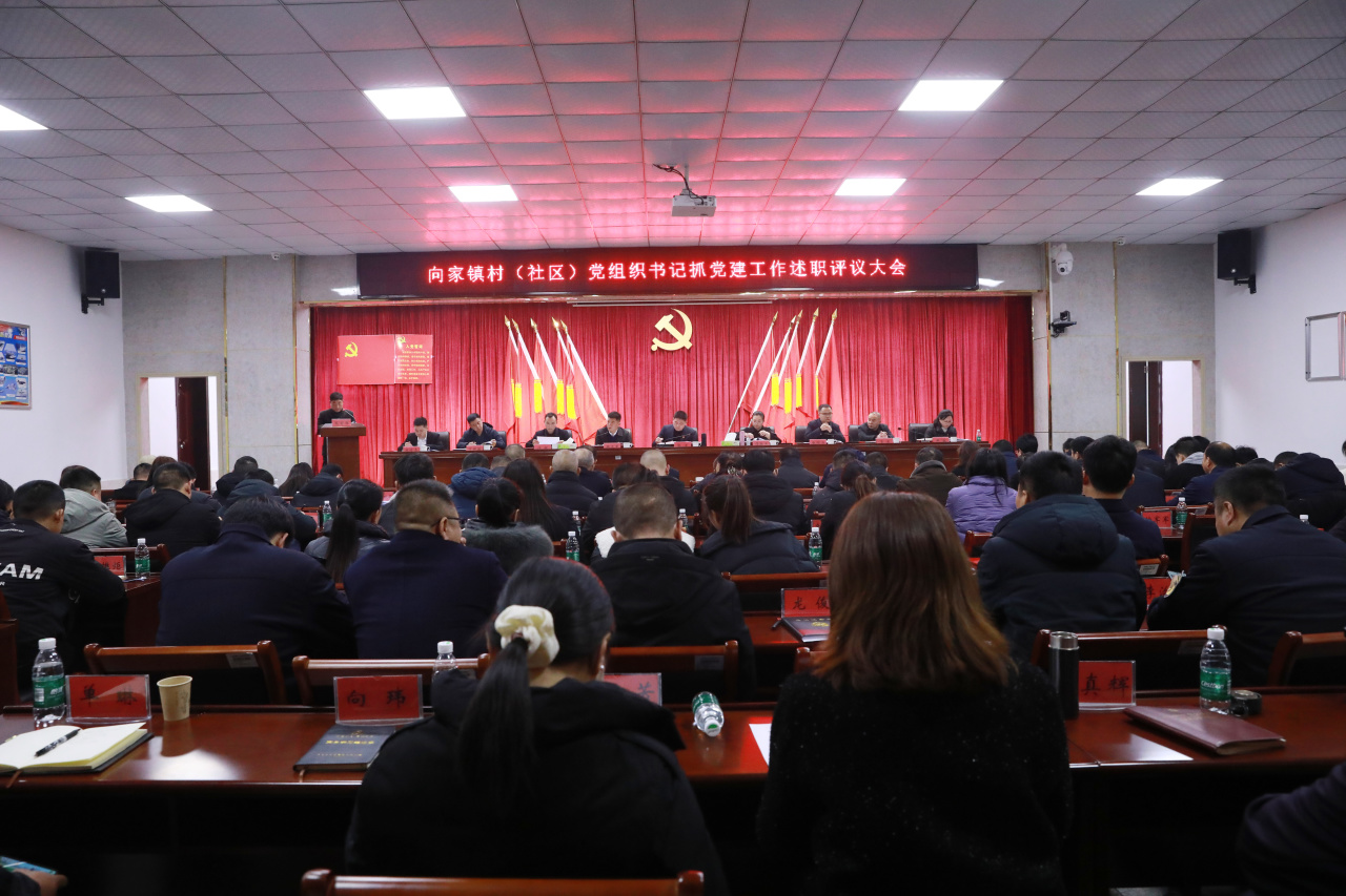认真“述”  精准“点”  聚力“干”——向家镇召开2023年度党组织书记抓基层党建述职评议大会