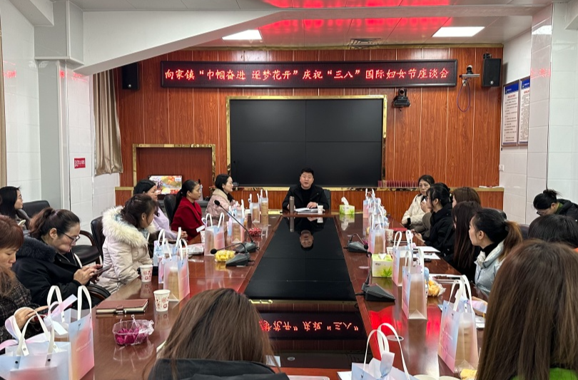 向家镇：巾帼逐梦，绽放不凡风采