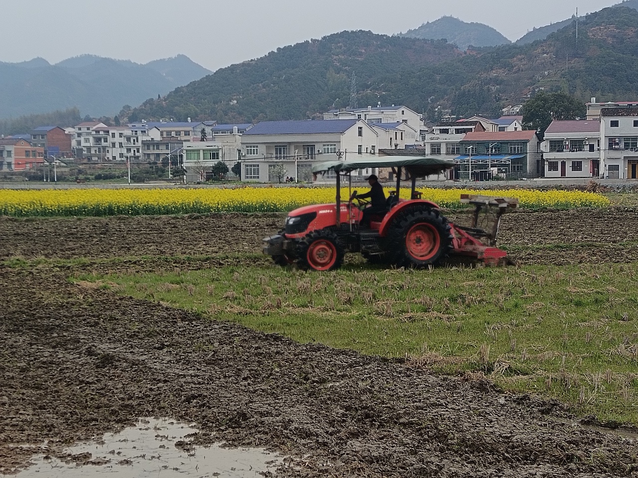 三墩乡：抢抓农时备春耕，不负春光不误农
