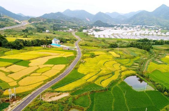 加义党建 |“三人小组”当先锋  共同改造“幸福路”