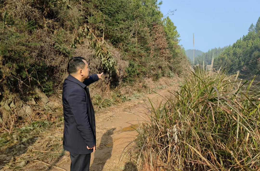 汉昌街道：多措并举抓实清明期间森林防火工作