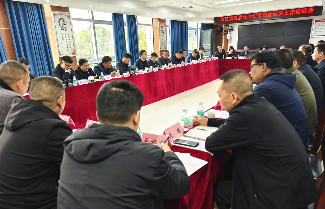 解放思想 凝聚合力丨南江镇召开发展壮大村级集体经济工作座谈会