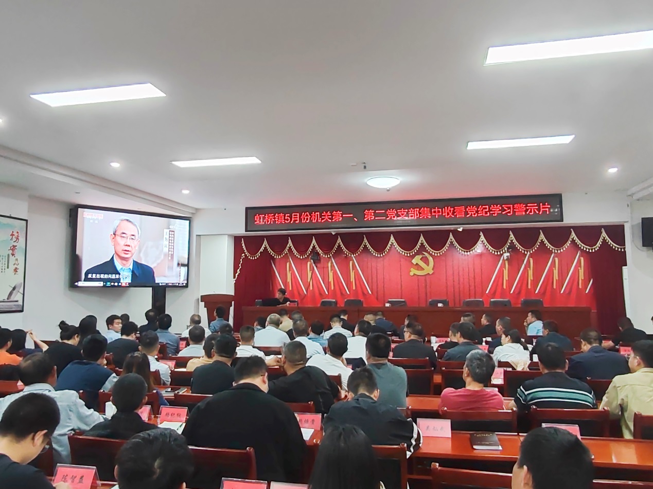 【党纪学习教育】虹桥镇机关党支部开展党纪学习教育