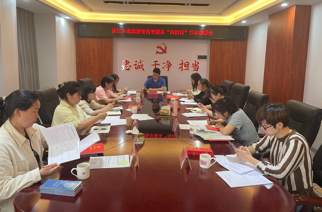 向阳花开，逐光前行 | 板江在行动
