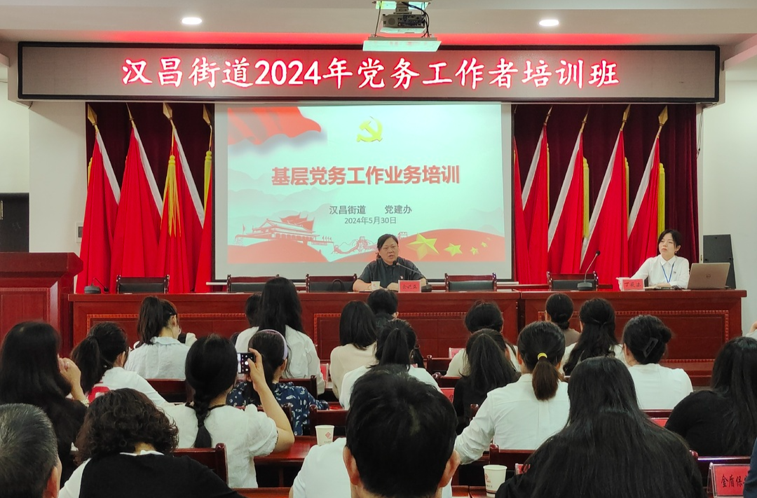 汉昌街道：开展2024年党务工作者培训班