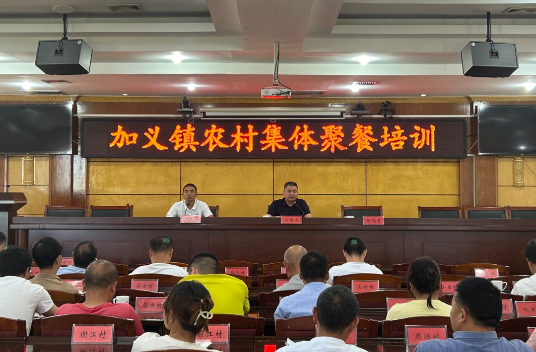 舌尖上的安全——加义镇召开乡村厨师培训会议
