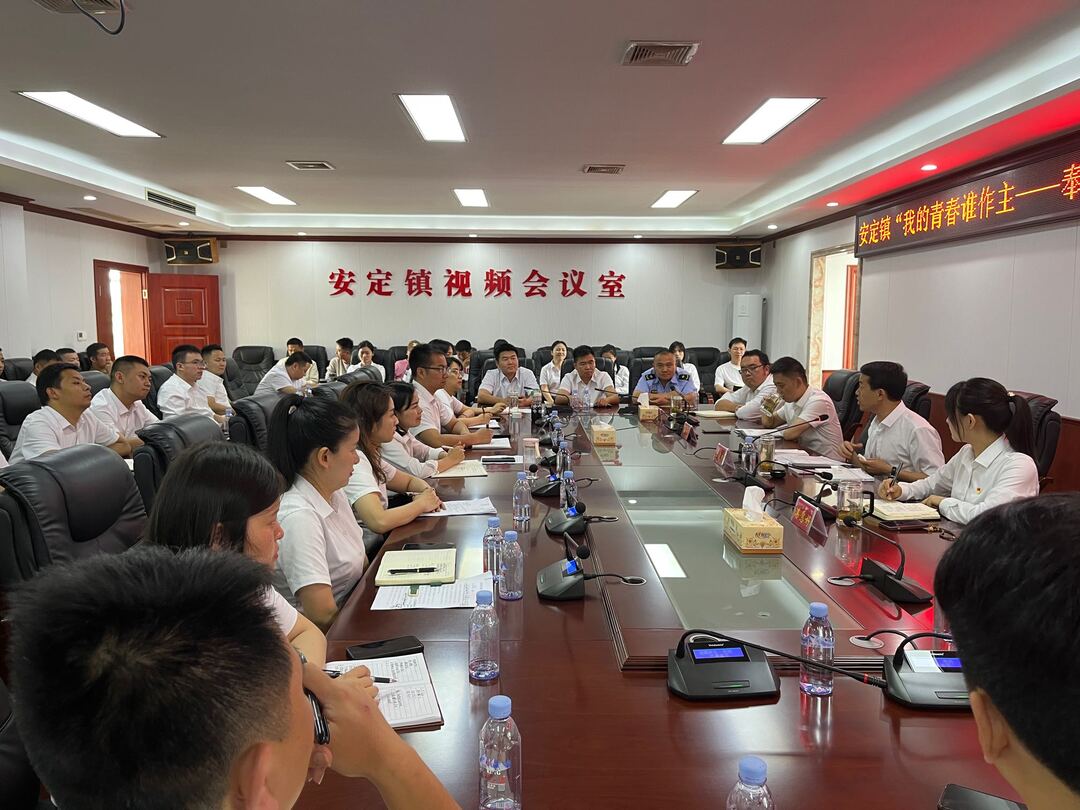 以奋进之姿、赴青春之约-安定镇召开青年干部座谈会