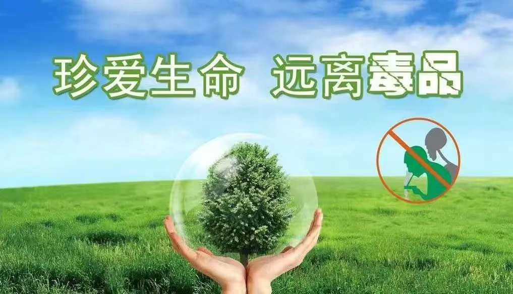 健康人生·绿色无毒——致全镇人民的禁毒倡议书