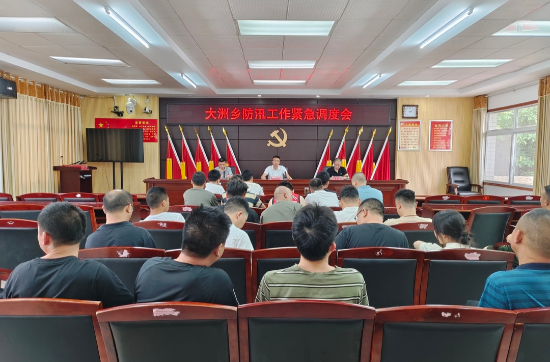 大洲乡：以“迅”应“汛”，全力筑牢防汛安全墙