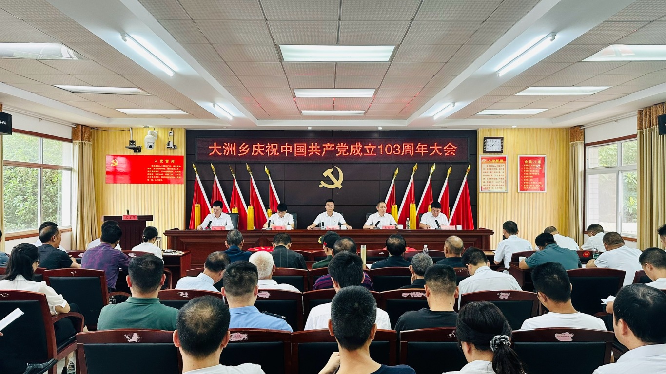 不忘来时路，薪火永相传——大洲乡召开庆祝中国共产党成立103周年大会
