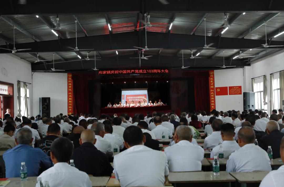 向家镇隆重召开庆祝中国共产党成立103周年大会