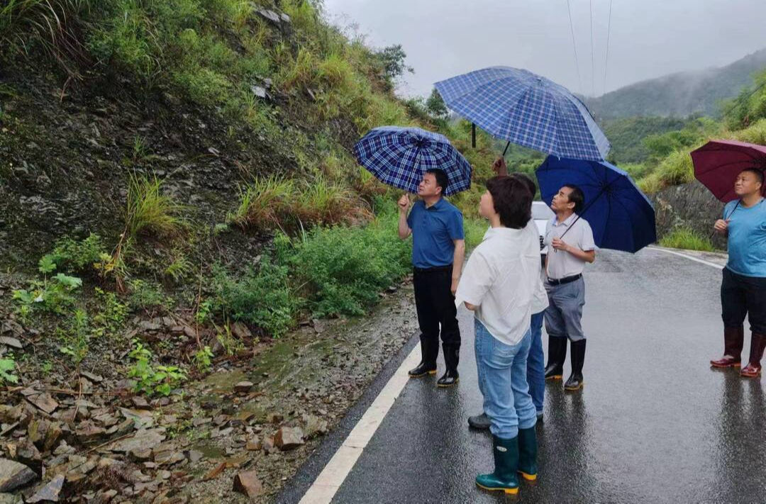 童市镇：镇村部门共奋斗，党员群众齐发力，坚决跑赢防汛救灾“接力赛”