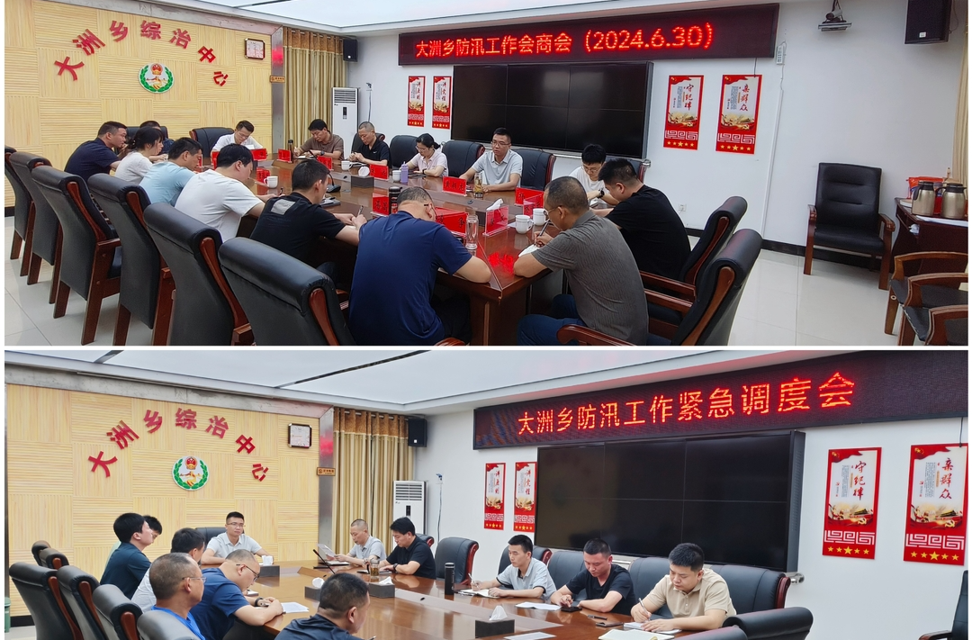大洲乡：党员干群冲在前 防汛一线显担当