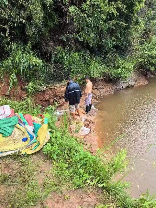 梅仙镇新霞村：抢修临时坝，筑好安全堤