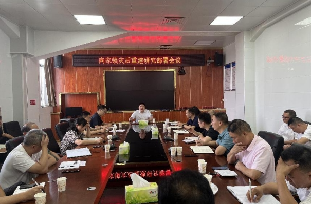 向家镇干群齐心，共搭灾后重建“连心桥”