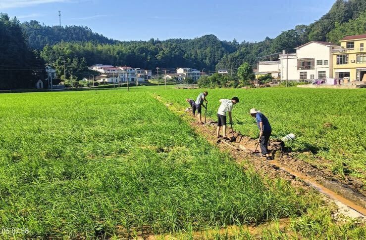 【余坪镇防汛救灾记实系列十一】不等不靠，余坪镇组织广大党员干部群众积极开展生产自救