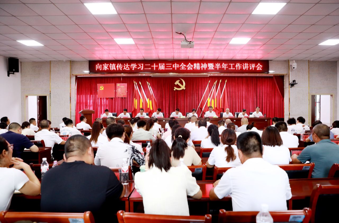 奋勇拼搏，奋楫争先，奋力开创向家高质量发展新篇章——向家镇召开传达学习二十届三中全会精神暨半年工作讲评会