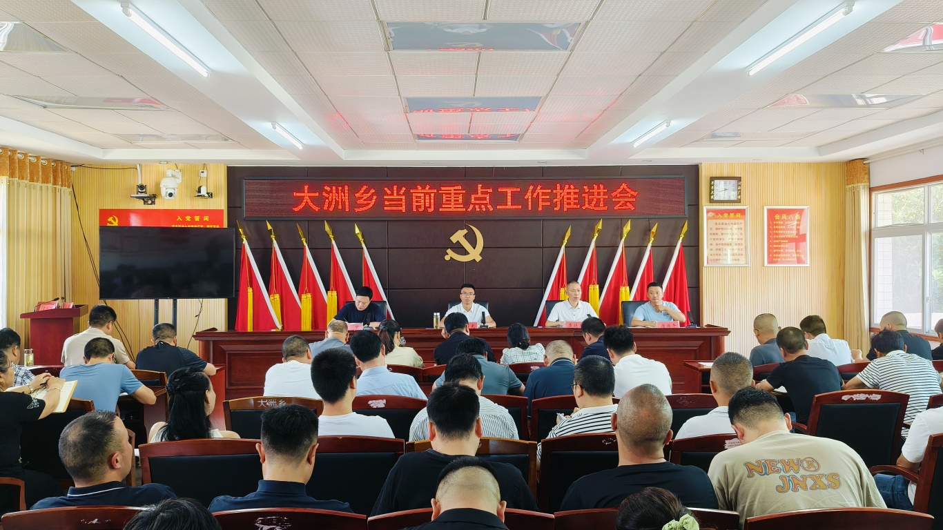 大洲乡召开当前重点工作推进会