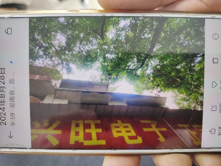 树Y过长。