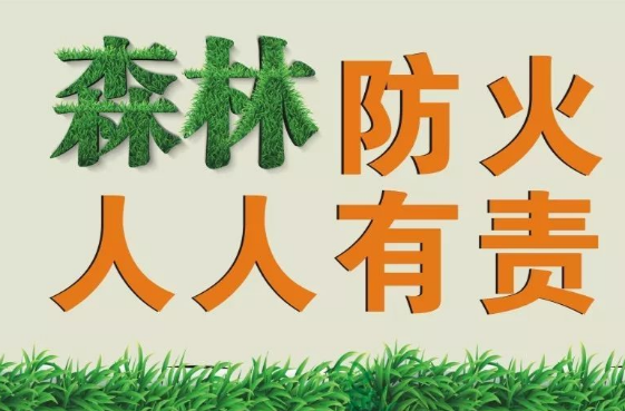 加义镇：致全镇父老乡亲森林防火的一封信