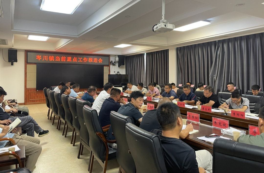 岑川镇召开当前重点工作推进会