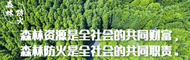 加义镇：念好“三字经” 筑牢森林防火墙