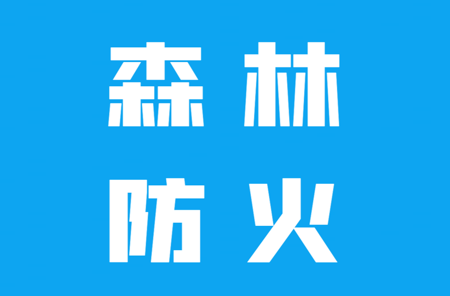 森林防火 | 岑川镇召开秋冬季森林防火培训会