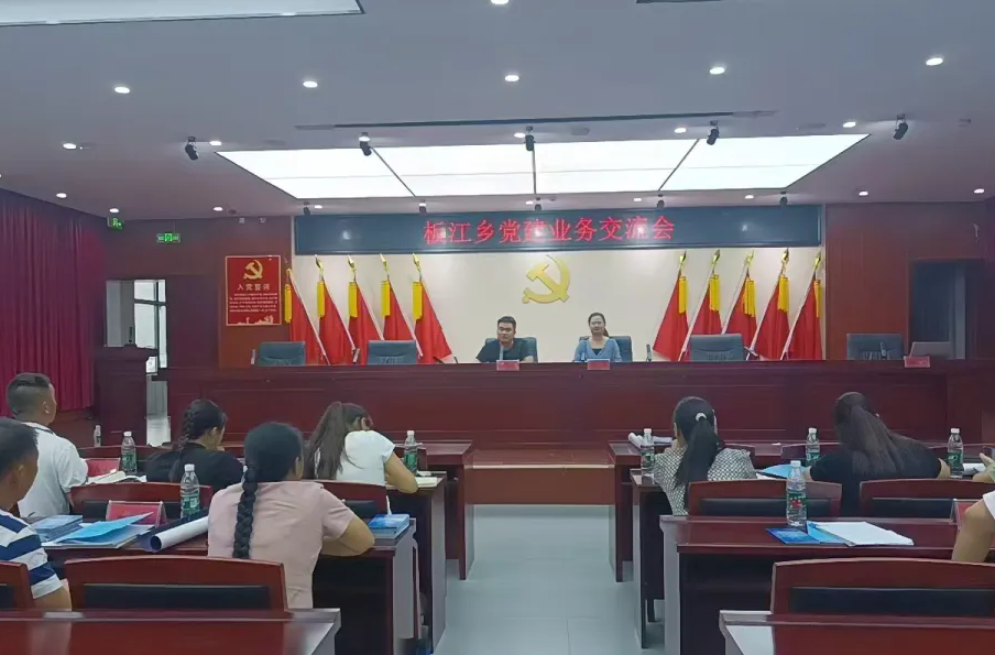 三百六十五天 党建在你身边——板江乡召开党建业务交流会